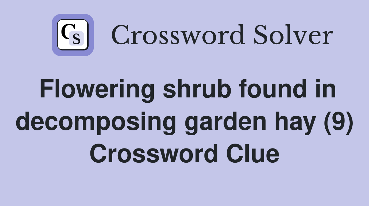 Flowering shrub found in decomposing garden hay (9) Crossword Clue
