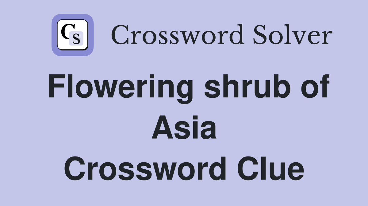 Flowering shrub of Asia Crossword Clue