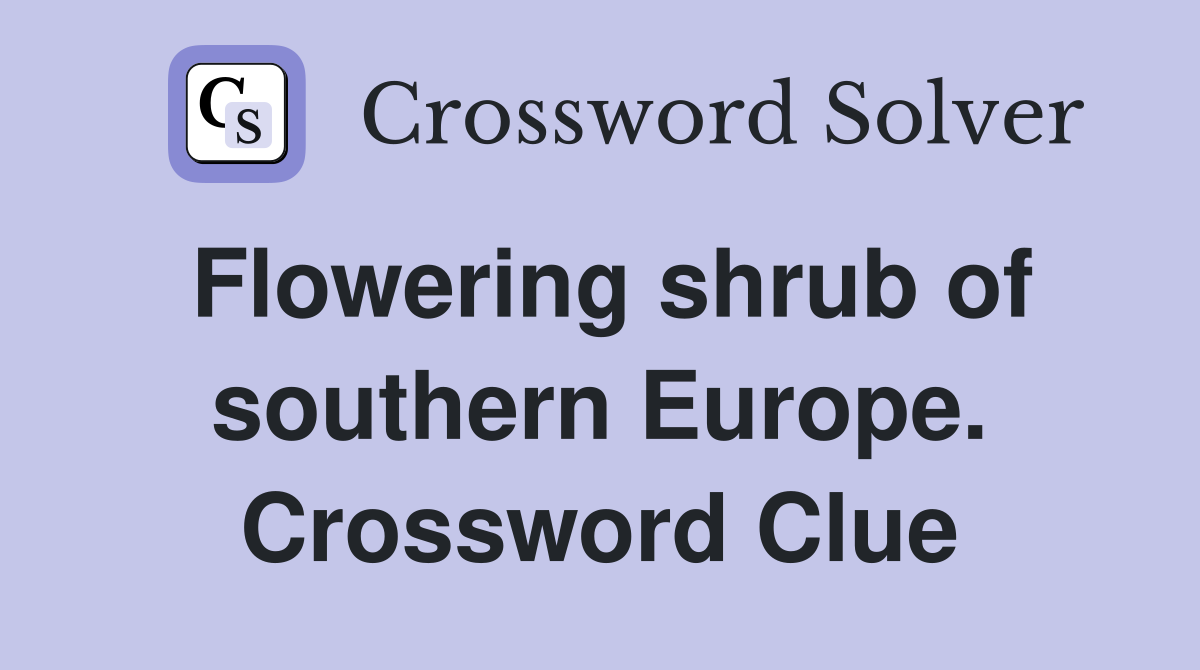 Flowering shrub of southern Europe. Crossword Clue
