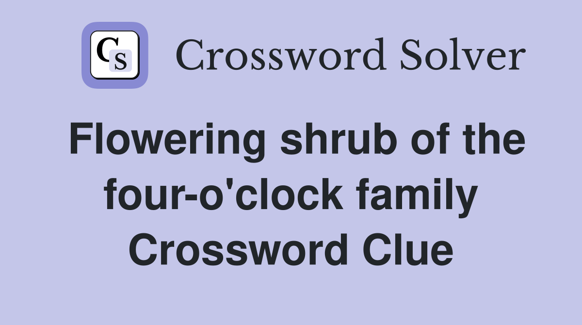 Flowering shrub of the four-o'clock family Crossword Clue