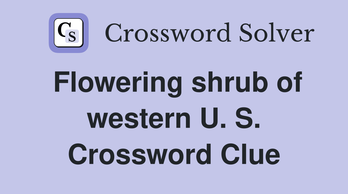 Flowering shrub of western U. S. Crossword Clue