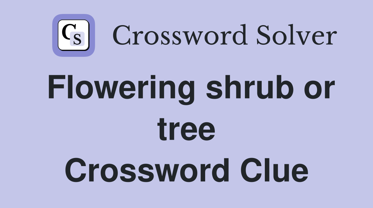 Flowering shrub or tree Crossword Clue