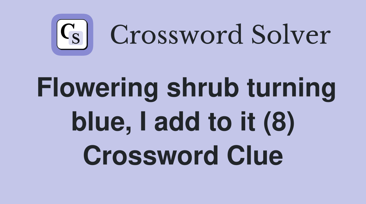 Flowering shrub turning blue, I add to it (8) Crossword Clue