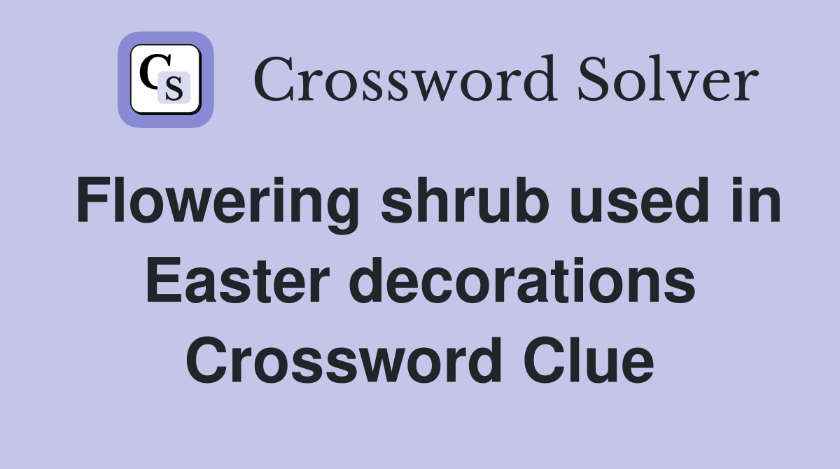 Flowering shrub used in Easter decorations Crossword Clue