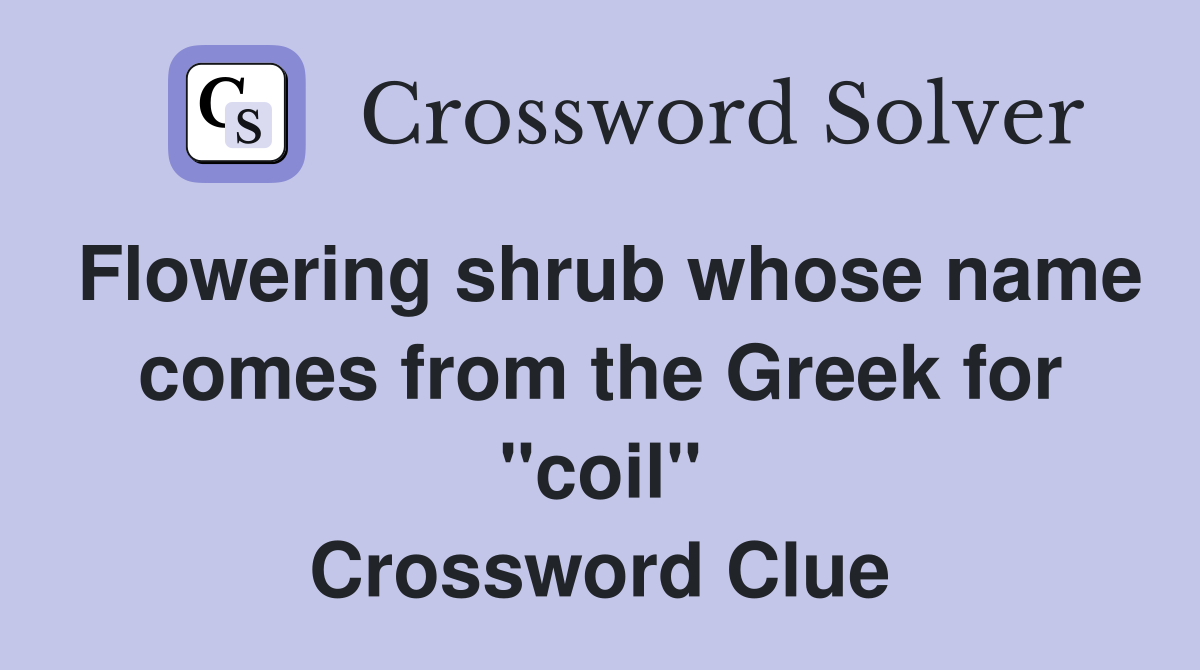 Flowering shrub whose name comes from the Greek for "coil" Crossword Clue