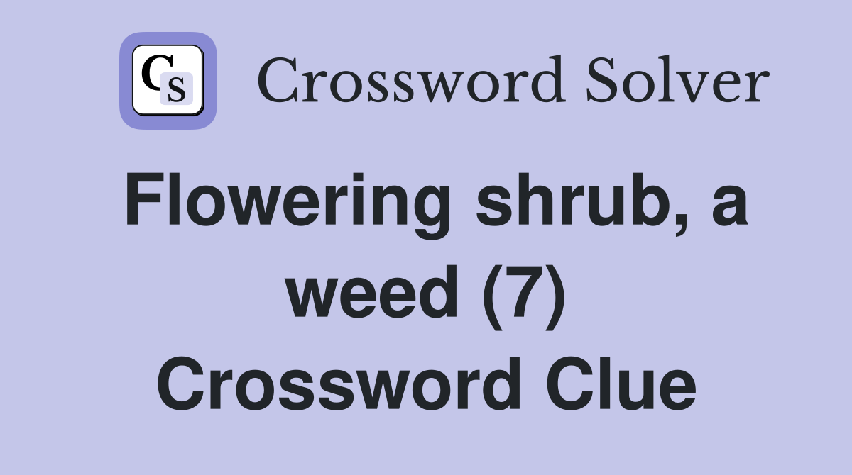 Flowering shrub, a weed (7) Crossword Clue