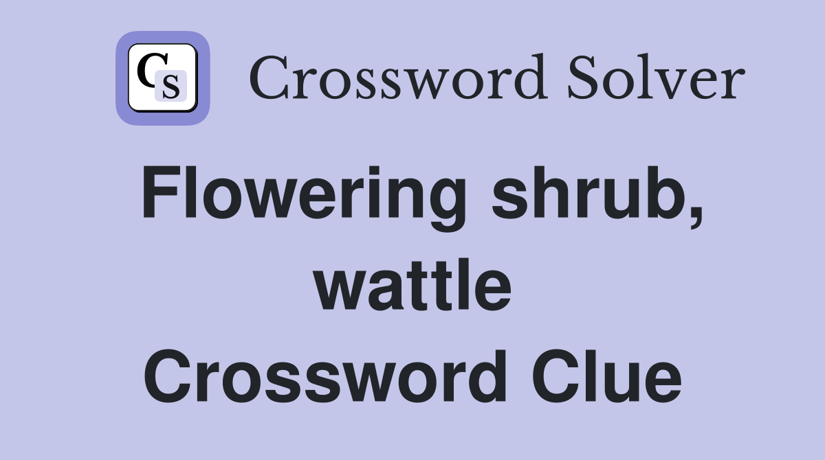 Flowering shrub, wattle Crossword Clue