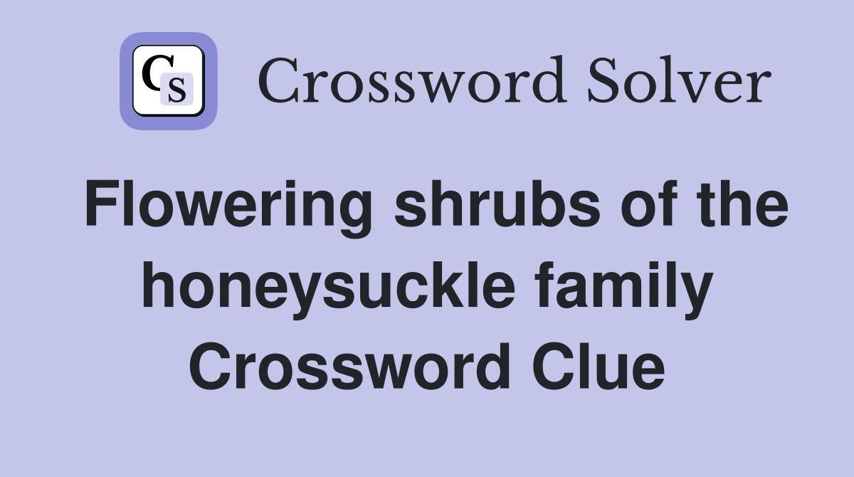 Flowering shrubs of the honeysuckle family Crossword Clue