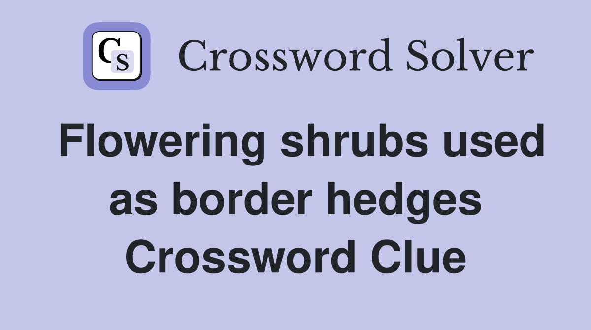 Flowering shrubs used as border hedges Crossword Clue