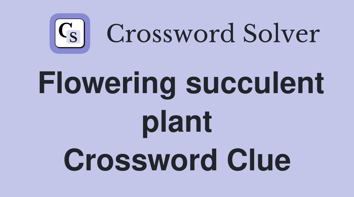Flowering succulent plant Crossword Clue
