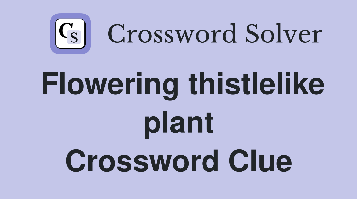Flowering thistlelike plant Crossword Clue