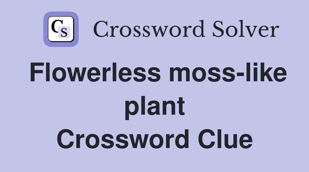 Flowerless moss-like plant Crossword Clue