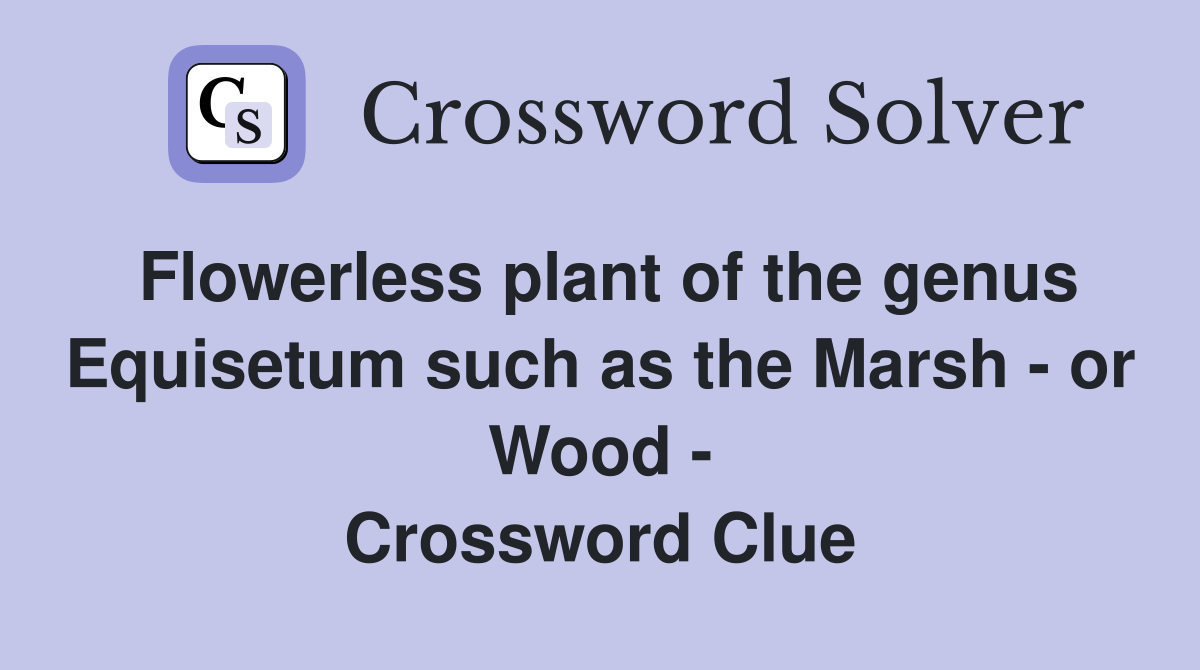 Flowerless plant of the genus Equisetum such as the Marsh - or Wood - Crossword Clue