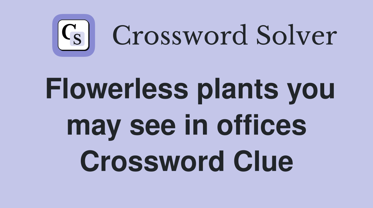 Flowerless plants you may see in offices Crossword Clue