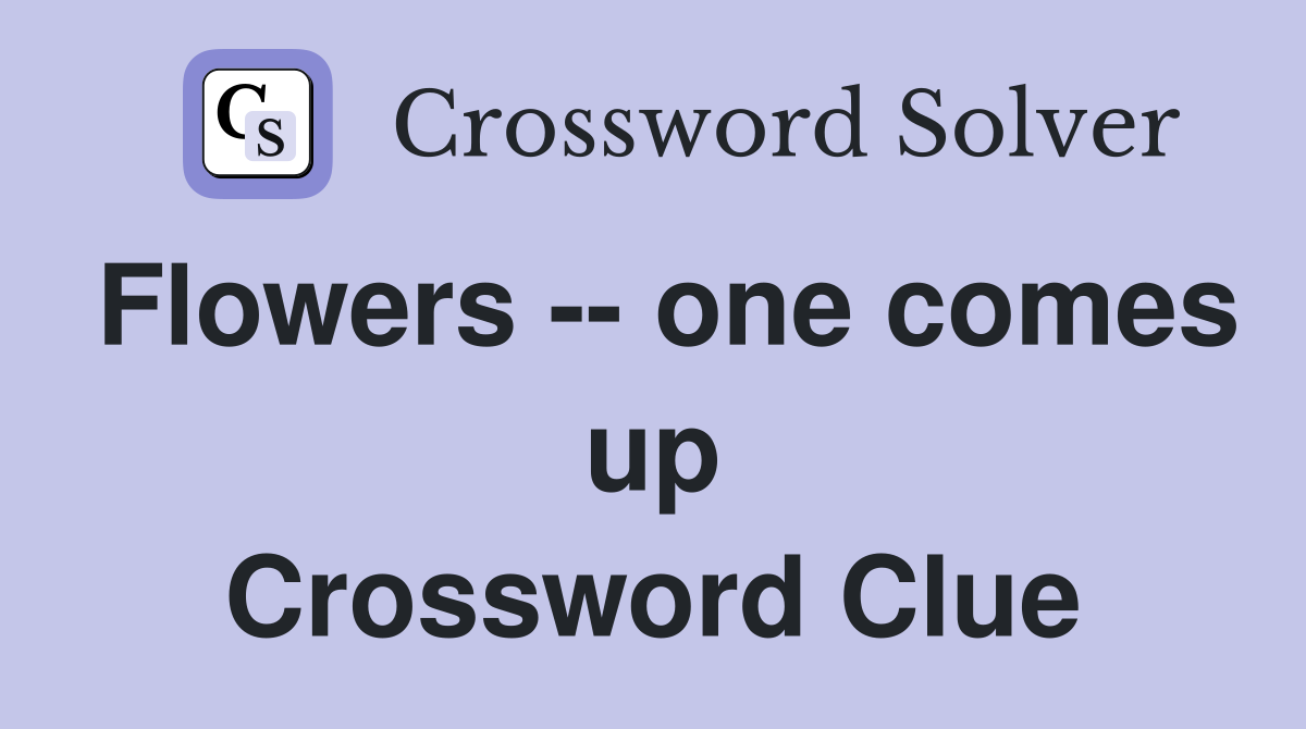 Flowers -- one comes up Crossword Clue
