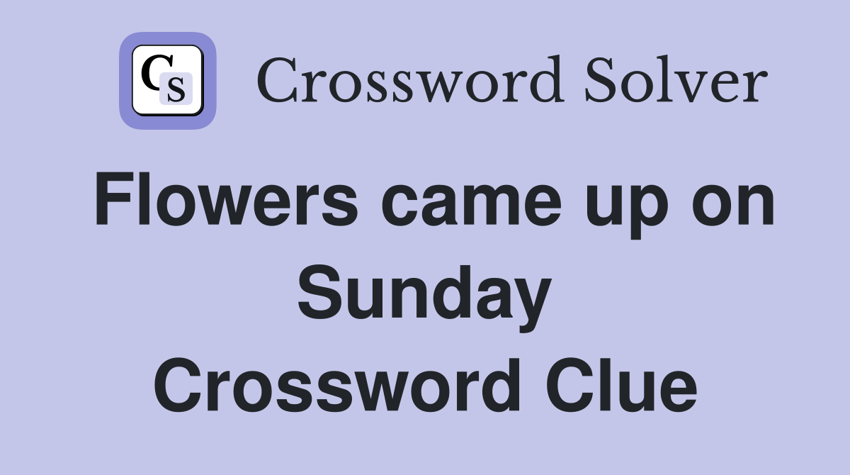 Flowers came up on Sunday Crossword Clue