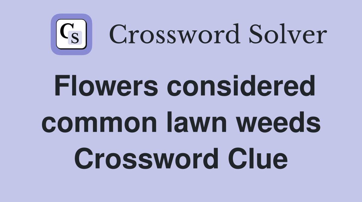 Flowers considered common lawn weeds Crossword Clue