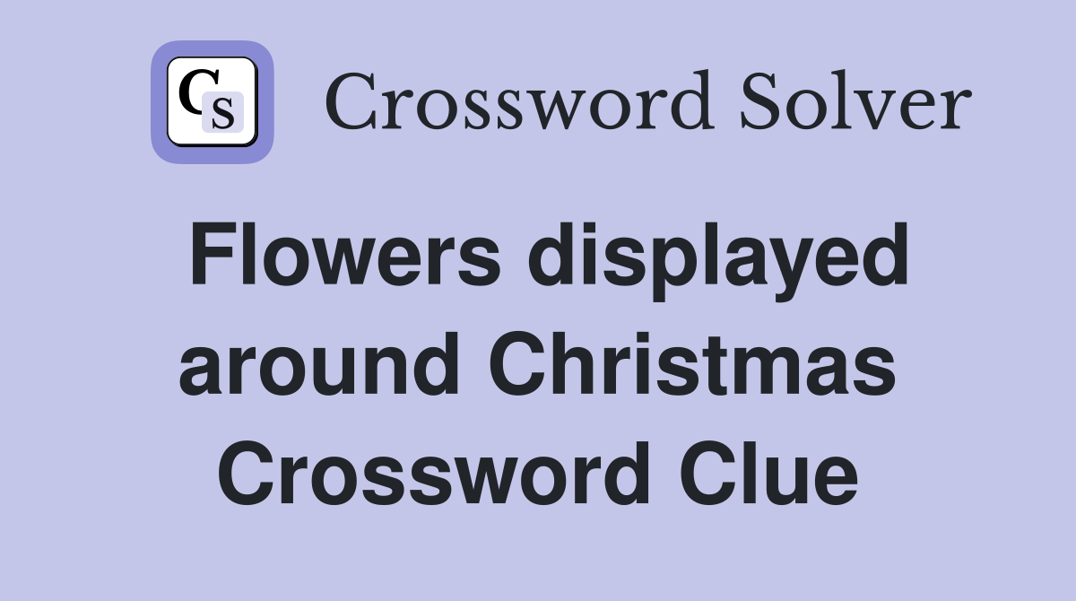 Flowers displayed around Christmas Crossword Clue