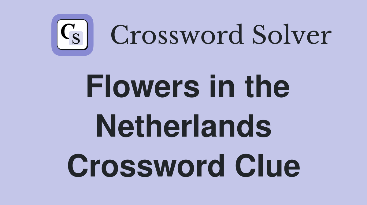 Flowers in the Netherlands Crossword Clue