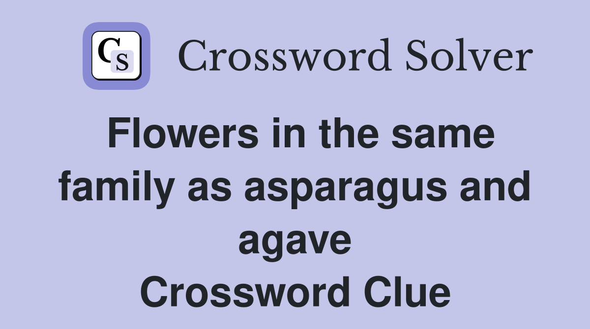 Flowers in the same family as asparagus and agave Crossword Clue