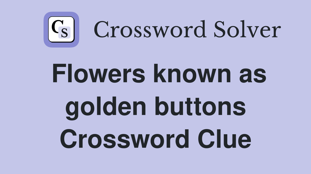 Flowers known as golden buttons Crossword Clue