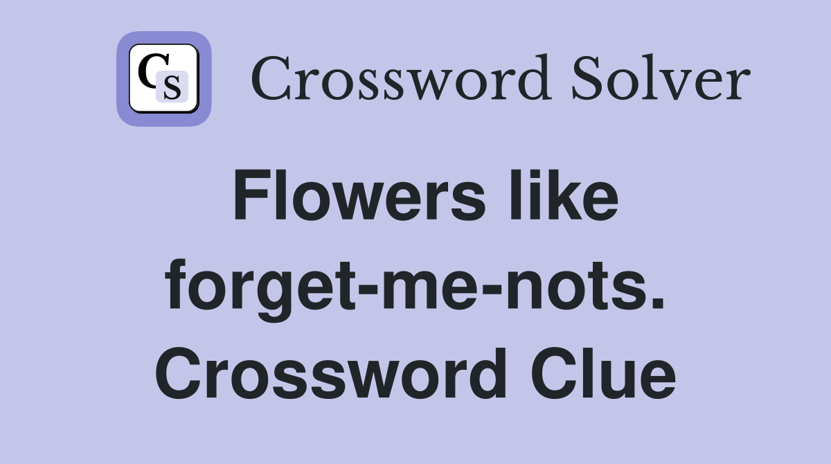 Flowers like forget-me-nots. Crossword Clue