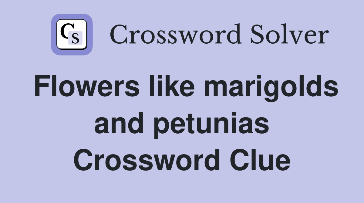 Flowers like marigolds and petunias Crossword Clue