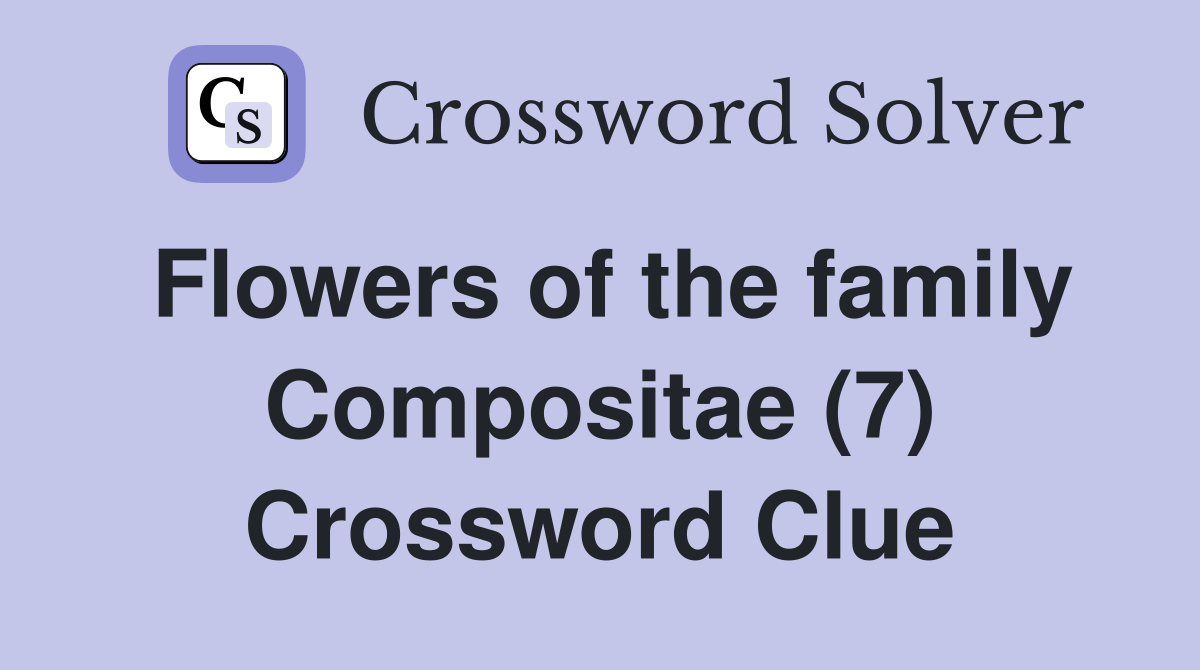 Flowers of the family Compositae (7) Crossword Clue