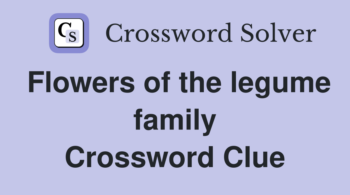 Flowers of the legume family Crossword Clue