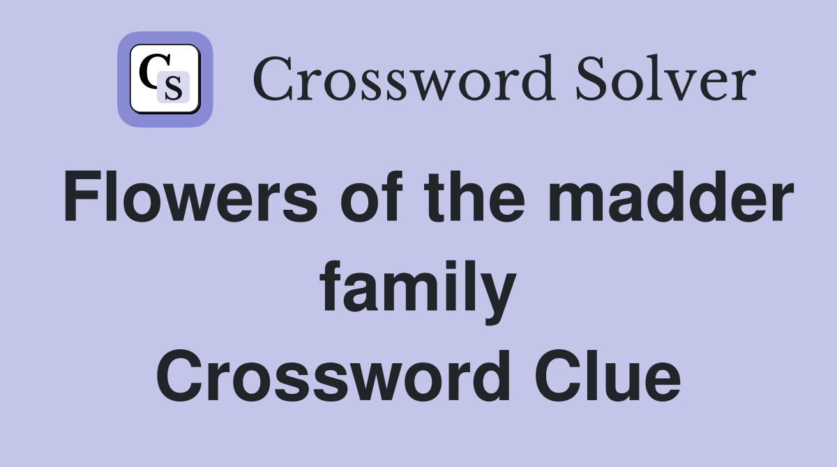 Flowers of the madder family Crossword Clue