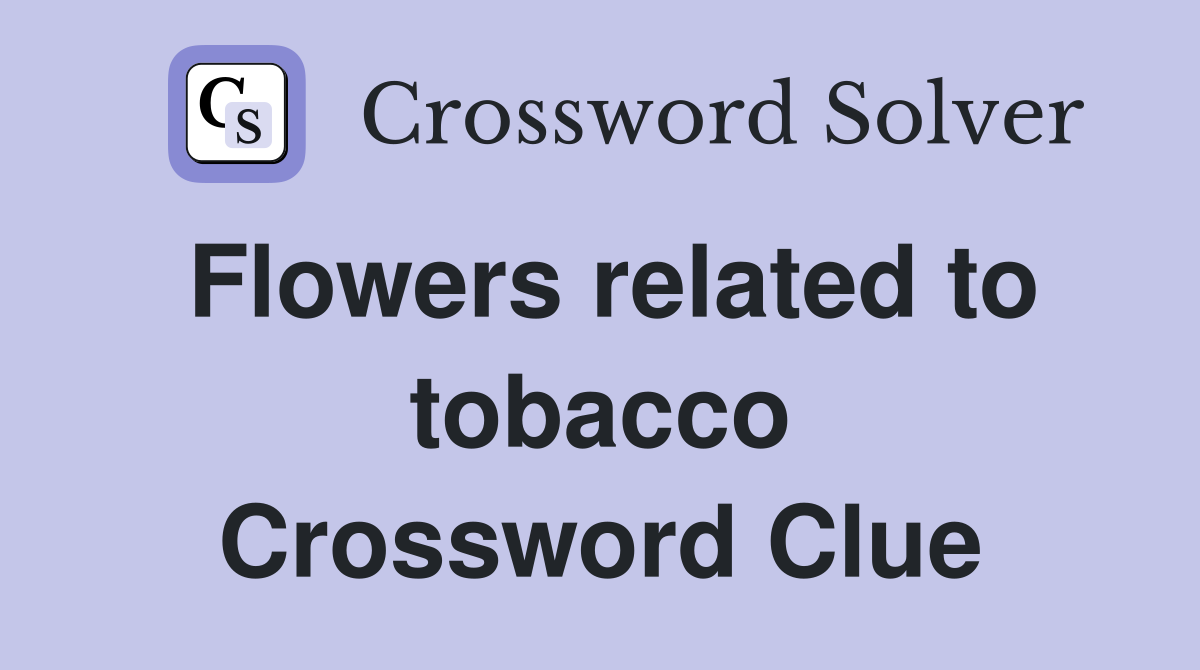 Flowers related to tobacco Crossword Clue