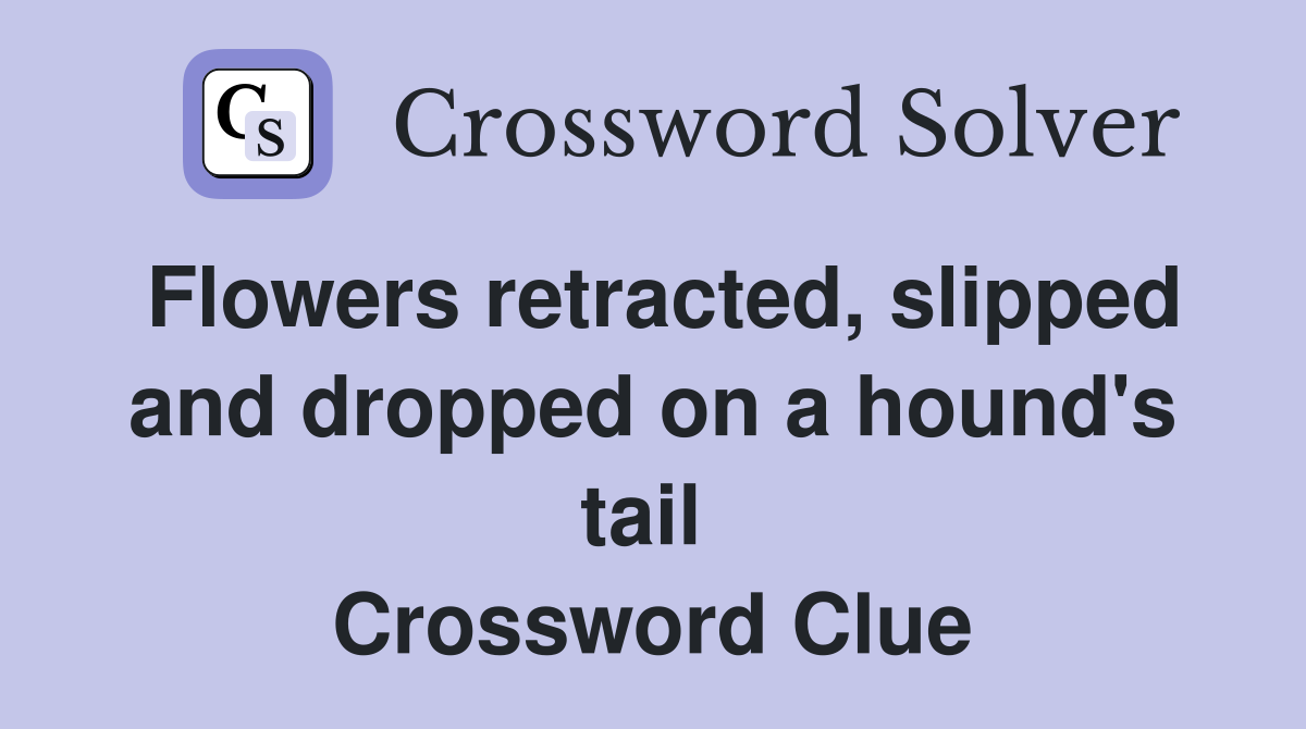 Flowers retracted, slipped and dropped on a hound's tail  Crossword Clue