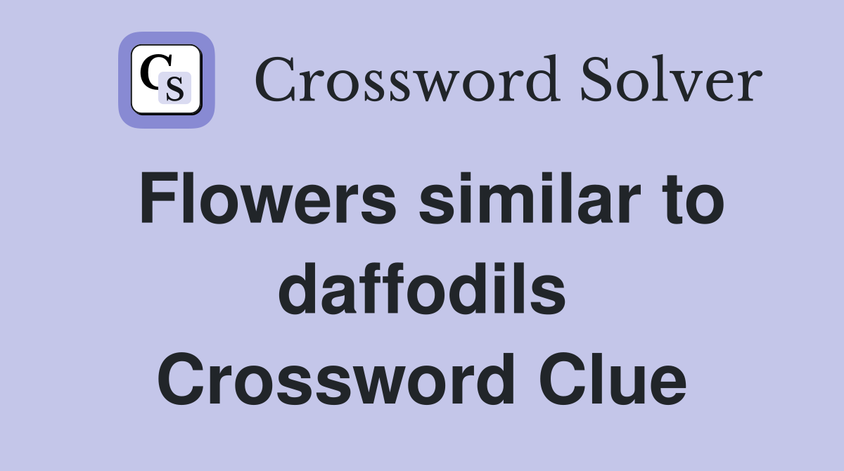 Flowers similar to daffodils Crossword Clue