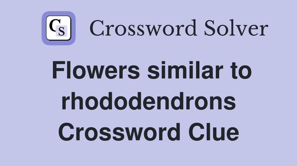 Flowers similar to rhododendrons Crossword Clue