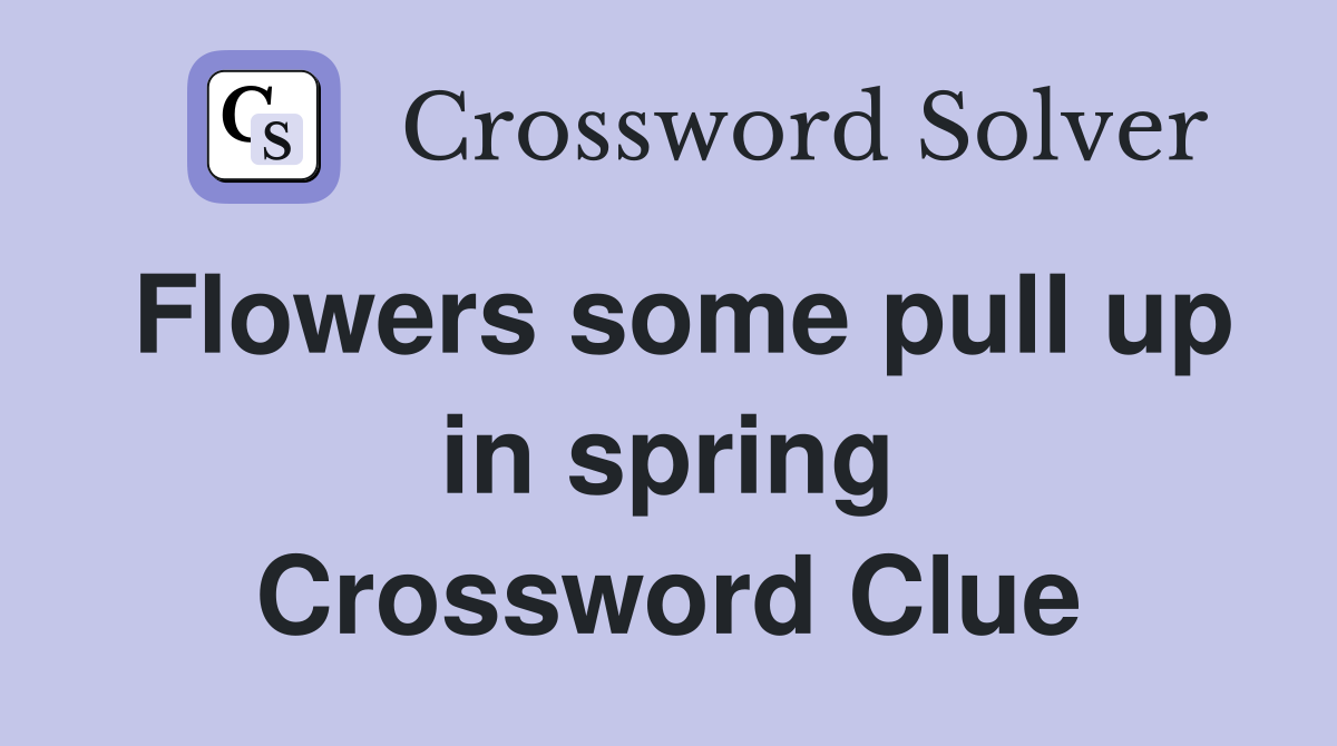Flowers some pull up in spring Crossword Clue