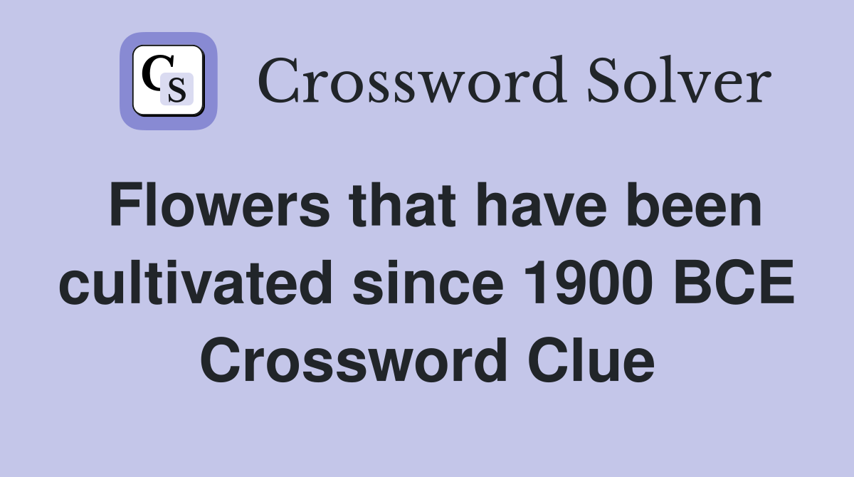 Flowers that have been cultivated since 1900 BCE Crossword Clue