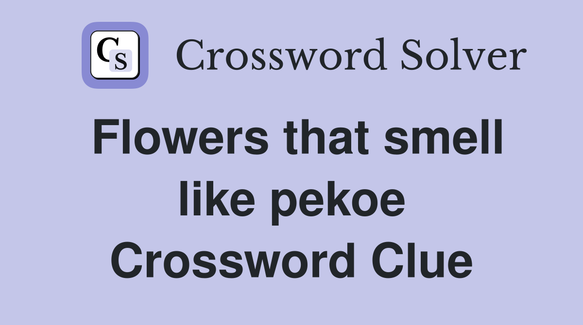 Flowers that smell like pekoe Crossword Clue