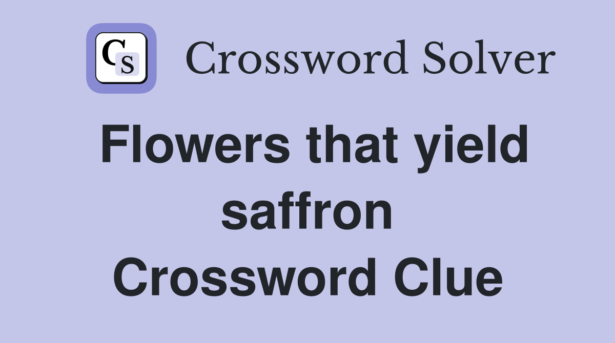 Flowers that yield saffron Crossword Clue