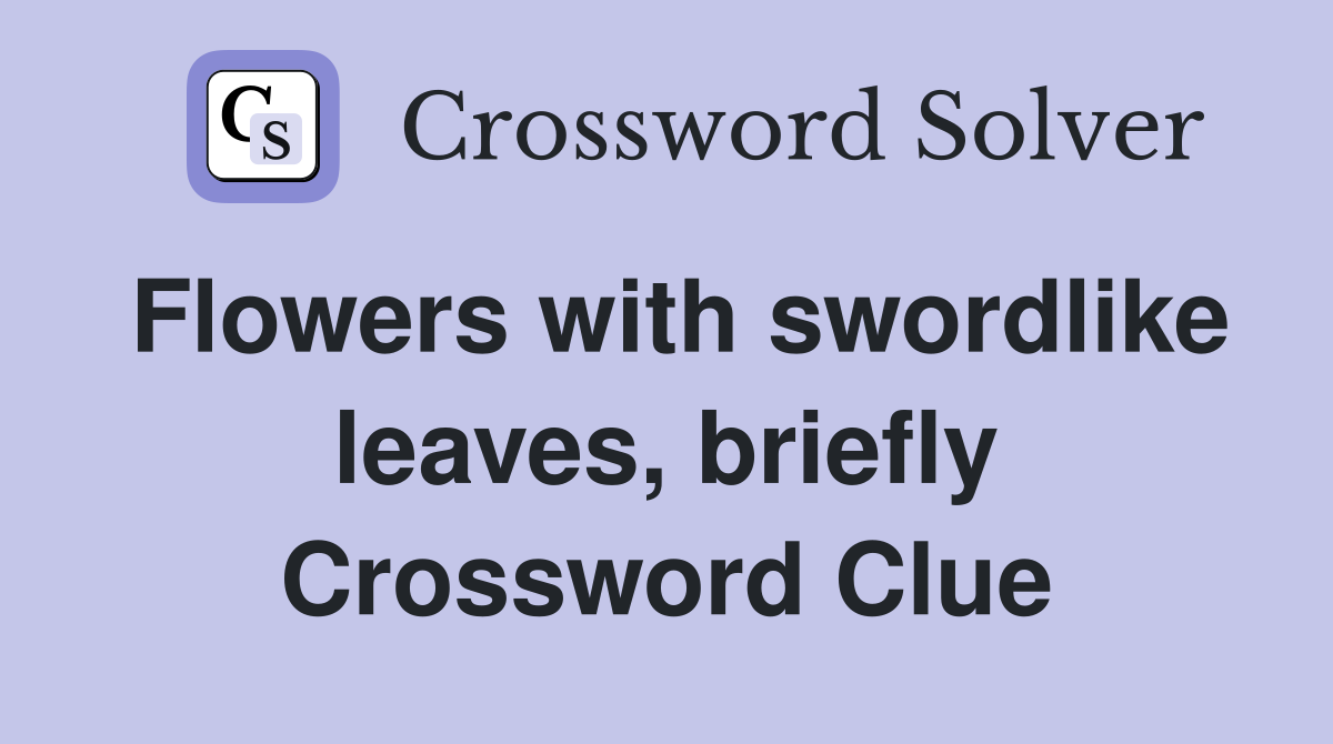 Flowers with swordlike leaves, briefly Crossword Clue