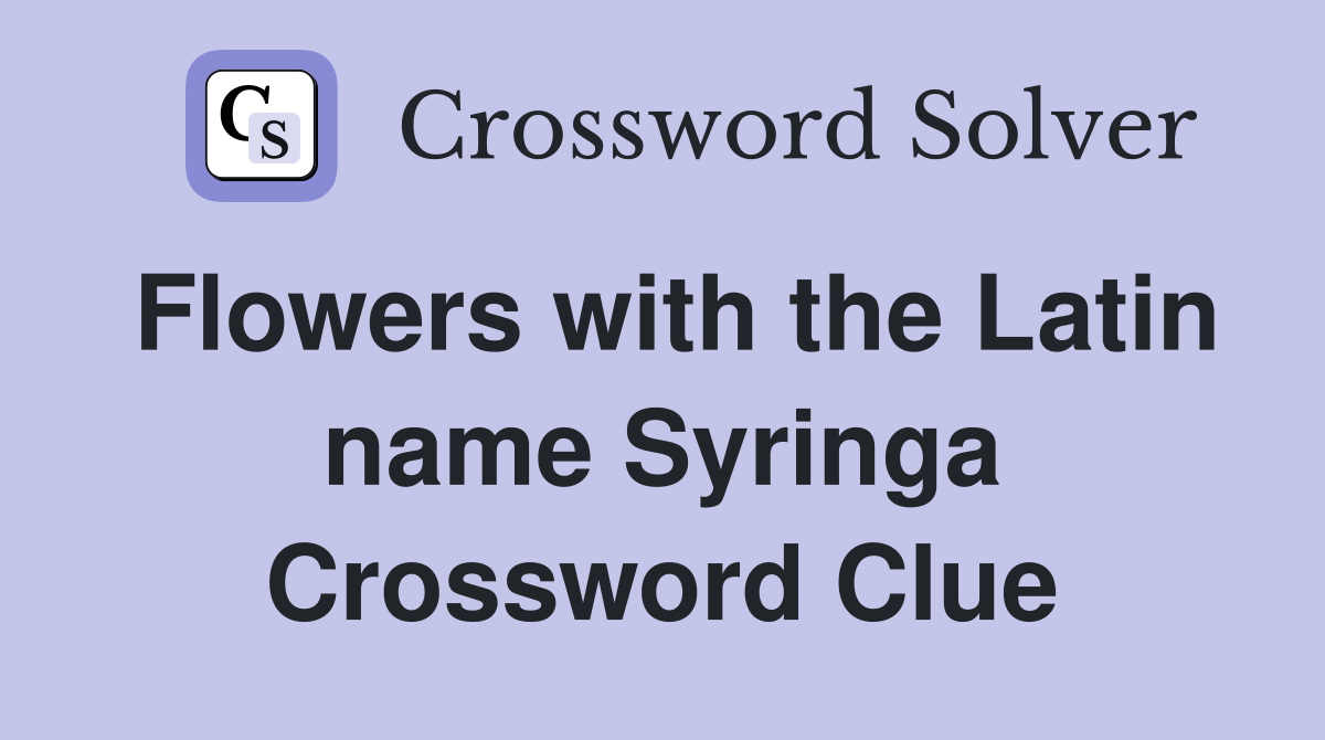 Flowers with the Latin name Syringa Crossword Clue