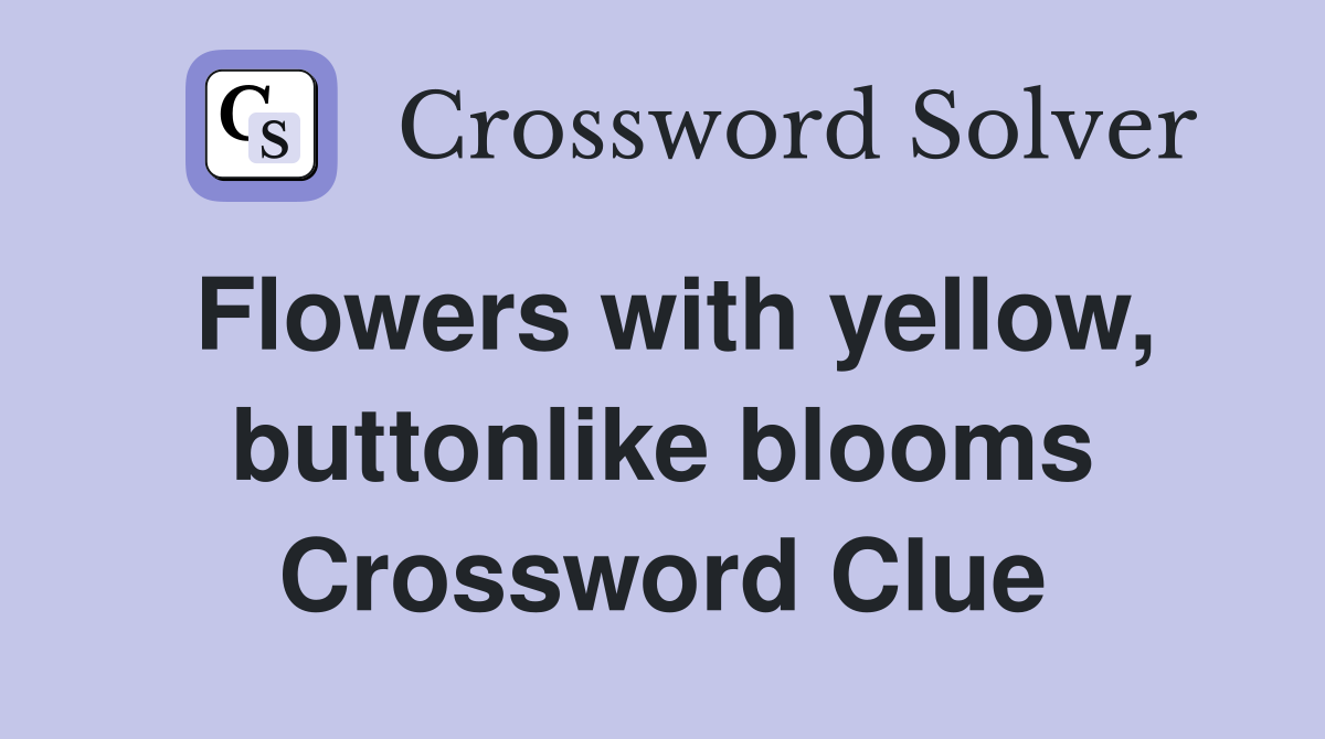 Flowers with yellow, buttonlike blooms Crossword Clue