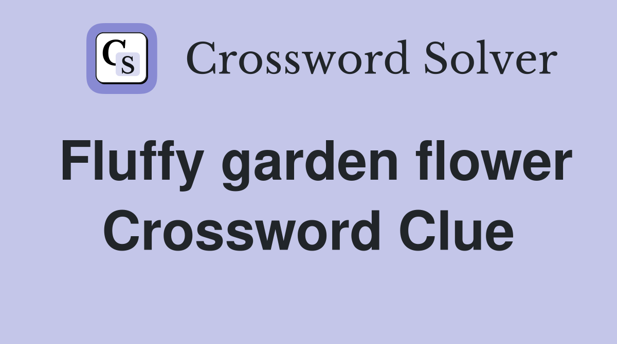 Fluffy garden flower Crossword Clue