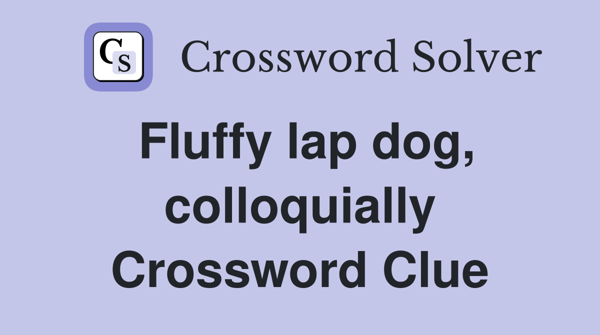 Fluffy lap dog, colloquially Crossword Clue