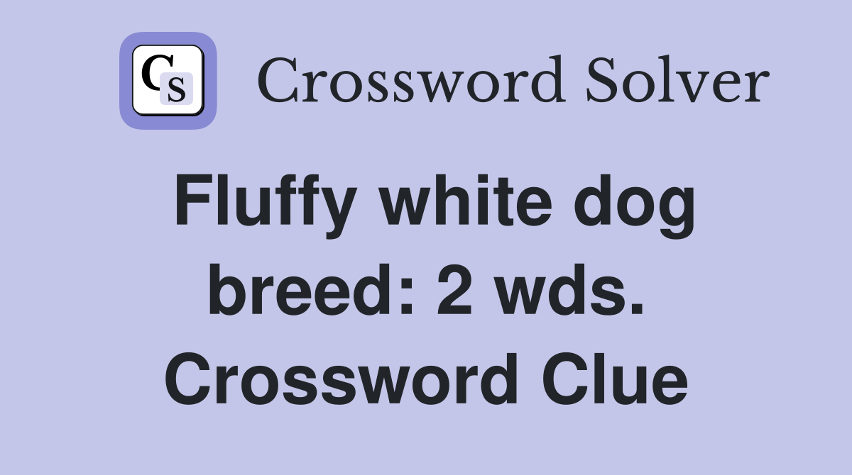 Fluffy white dog breed: 2 wds. Crossword Clue