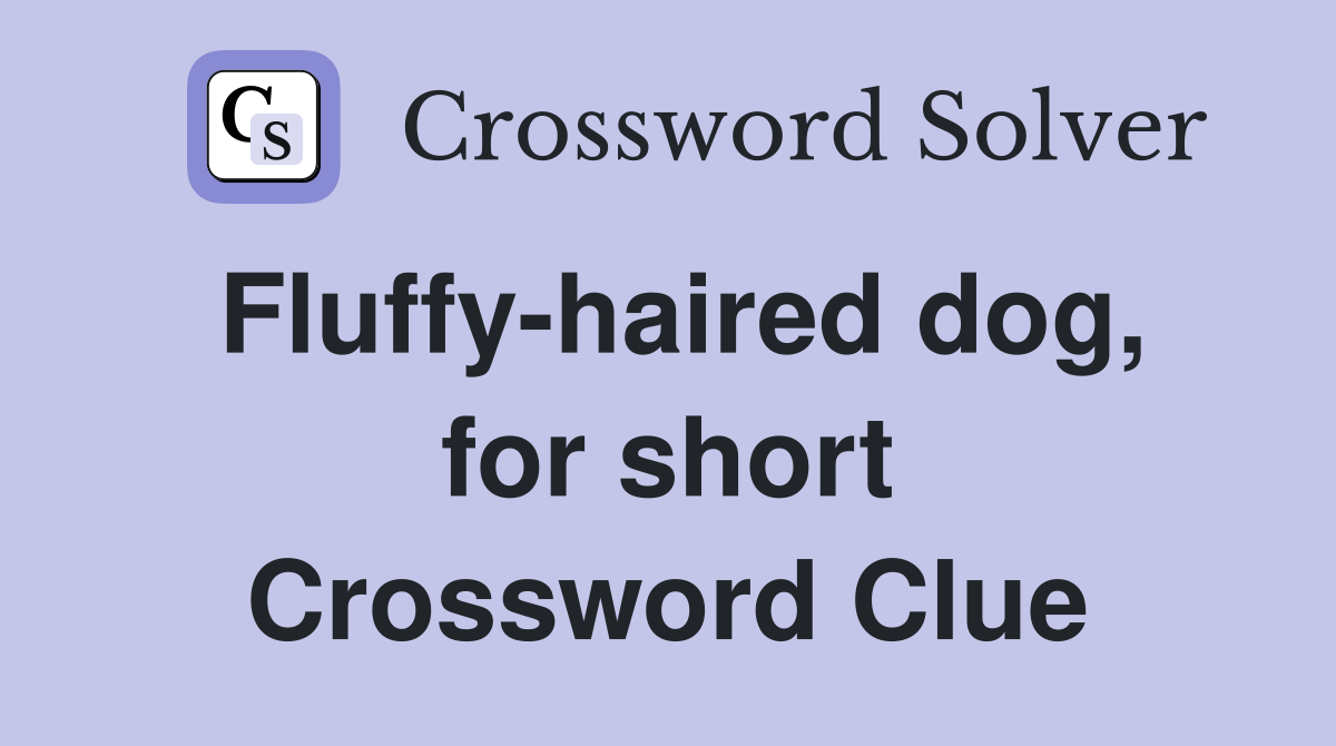 Fluffy-haired dog, for short Crossword Clue
