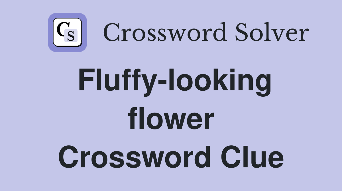 Fluffy-looking flower Crossword Clue