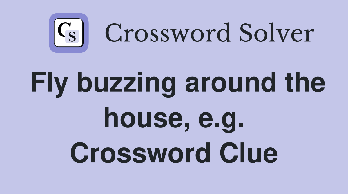 Fly buzzing around the house, e.g. Crossword Clue