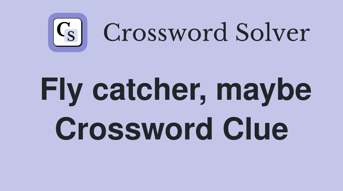 Fly catcher, maybe Crossword Clue
