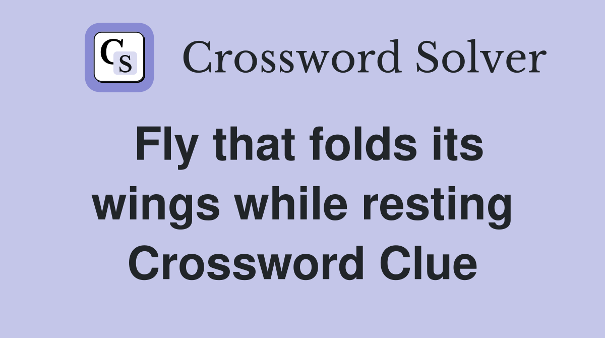 Fly that folds its wings while resting Crossword Clue