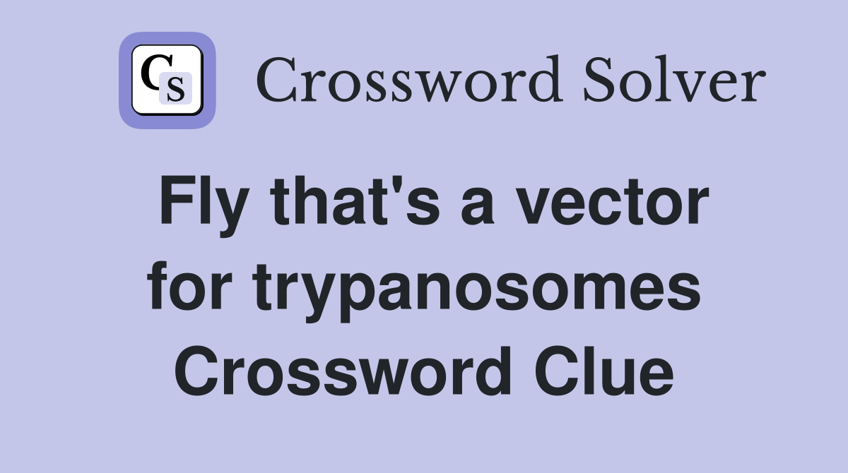 Fly that's a vector for trypanosomes Crossword Clue
